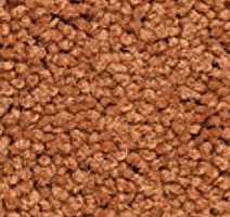 Ковролин Girloon Body1 701 фото 1 | FLOORDEALER